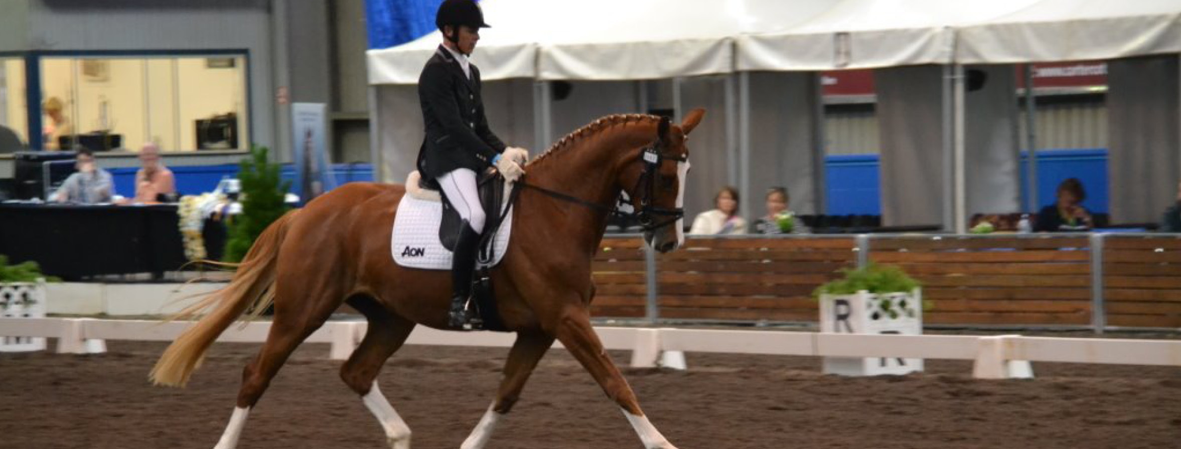 Dressage Bridle Number Listing Equestrian South Australia